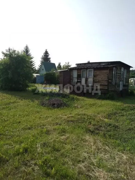 Дом в Новосибирская область, Коченевский район, Ветеран-1 ДНТ 692 (15 ... - Фото 1