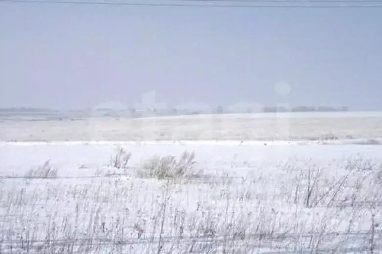 Участок в Мордовия, Лямбирский район, Берсеневское с/пос, д. Русская ... - Фото 1