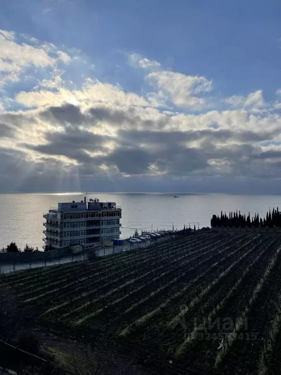 Студия Крым, Ялта муниципальный округ, Ливадия пгт ул. Виноградная, ... - Фото 2