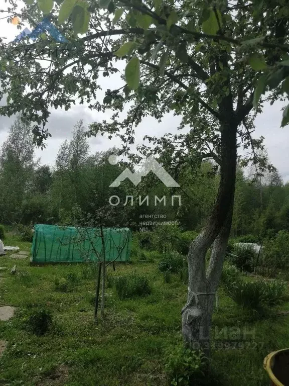 Дом в Вологодская область, Шолда СТ 135 (18 м) - Фото 0
