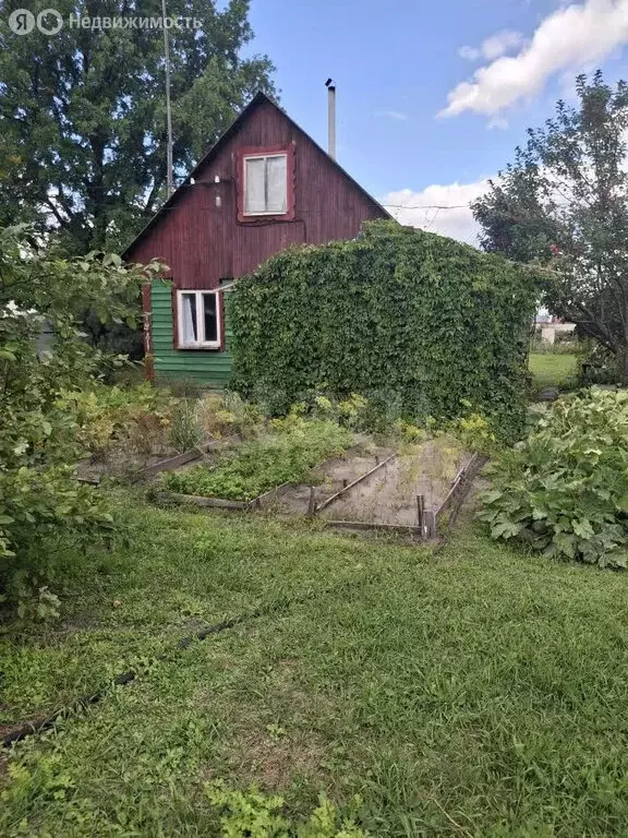 Дом в Курганская область, Белозерский муниципальный округ, СНТ ... - Фото 2