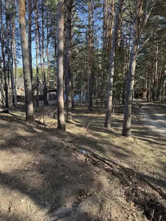 Участок в Татарстан, Лаишевский район, Песчано-Ковалинское с/пос, д. ... - Фото 0