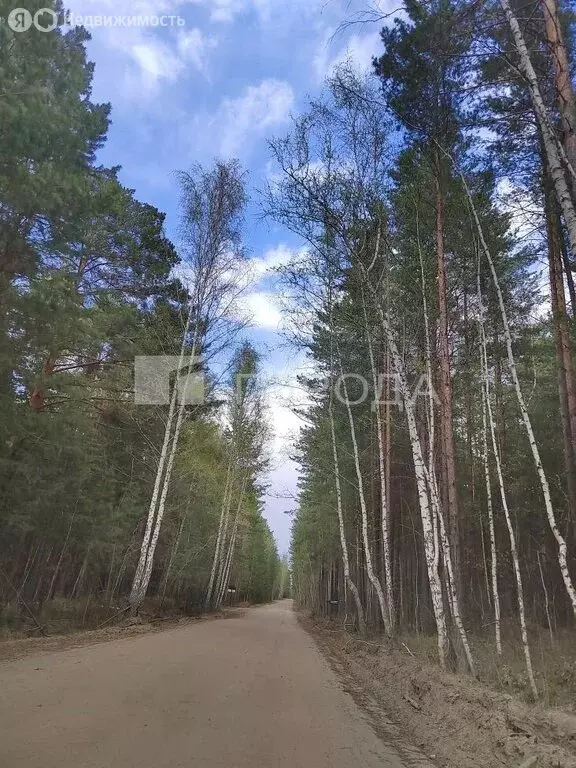 Участок в Ордынский район, деревня Ерестная, Центральная улица, 47/1 ... - Фото 1