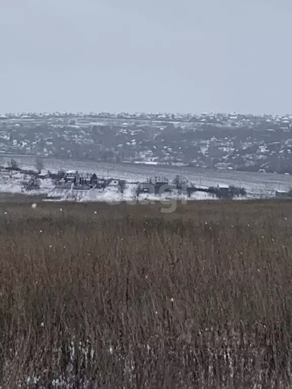 Участок в Белгородская область, Белгородский район, Головинское с/пос, ... - Фото 2