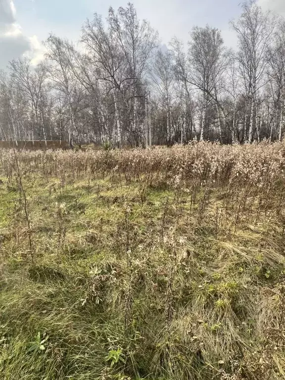 Участок в Красноярский край, Сосновоборский муниципальный округ, с. ... - Фото 2