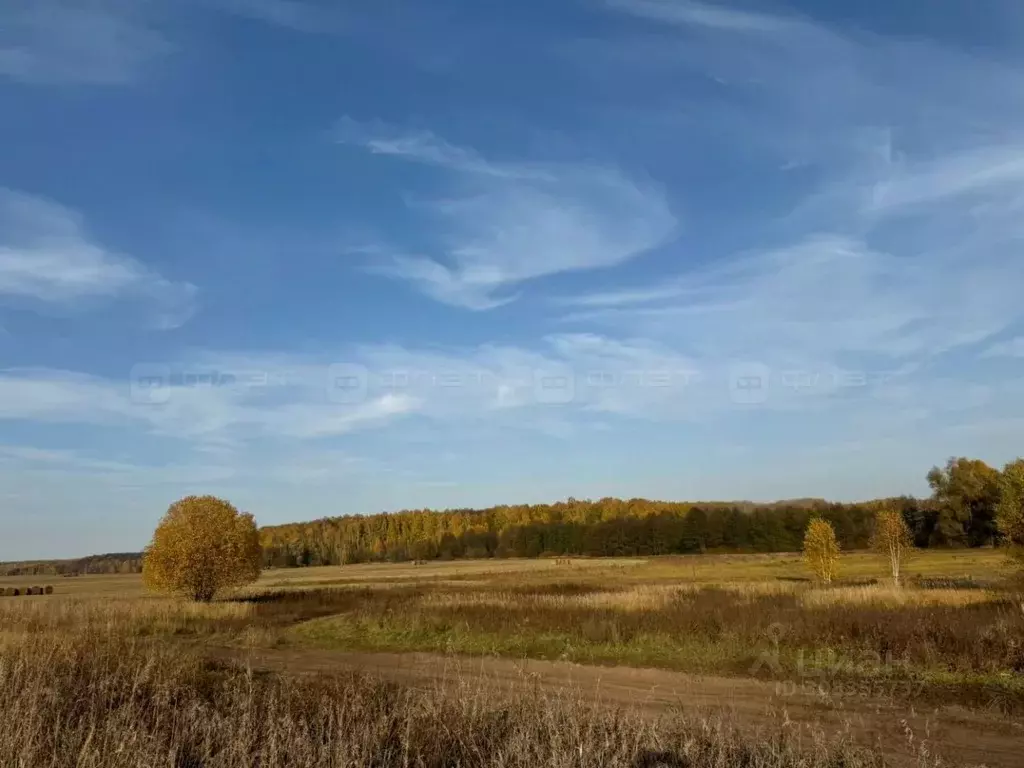 Участок в Татарстан, Лаишевский район, с. Среднее Девятово Камашевская ... - Фото 0