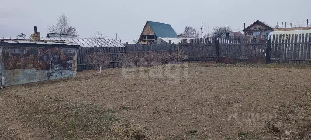 Участок в Забайкальский край, Чита Березка садовое товарищество, 485 ... - Фото 1