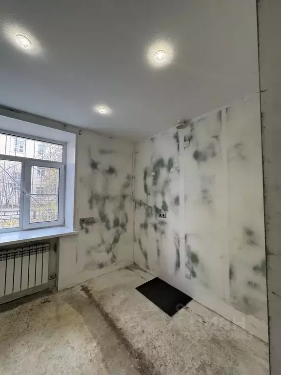 Студия Нижегородская область, Бор ул. Щербакова, 5 (14.7 м) - Фото 1