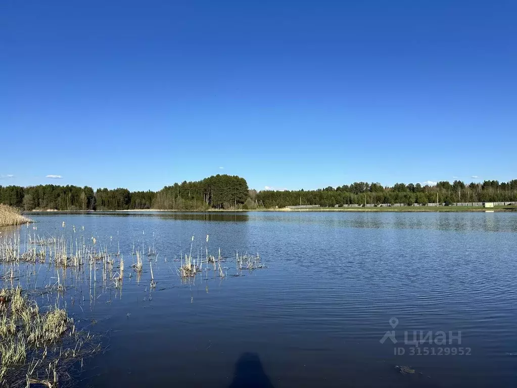 Участок в Кировская область, Слободской район, Бобинское с/пос, д. ... - Фото 0