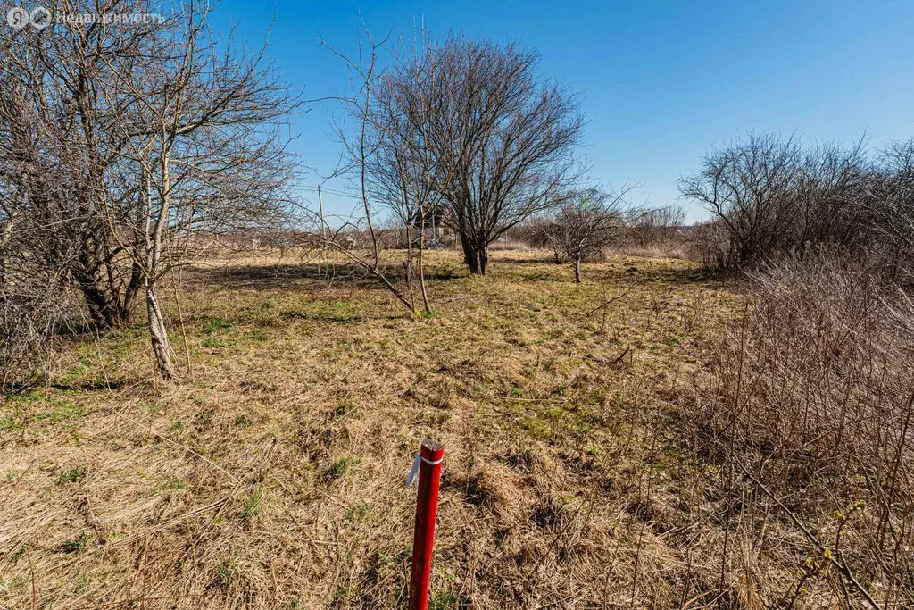 Участок в Калининградская область, Зеленоградский муниципальный округ, ... - Фото 2