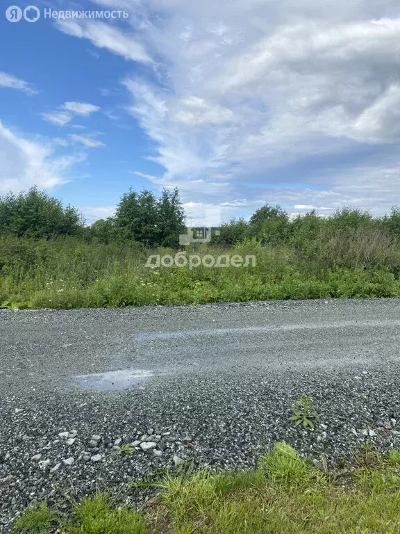 Участок в Билимбай, улица Некрасова, 24 (10 м) - Фото 1