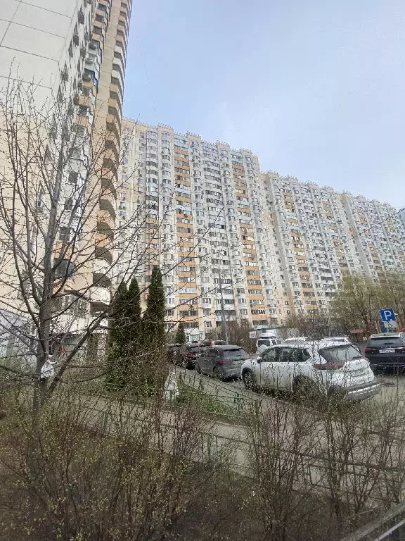 Продается квартира со свободной планировкой - Фото 2