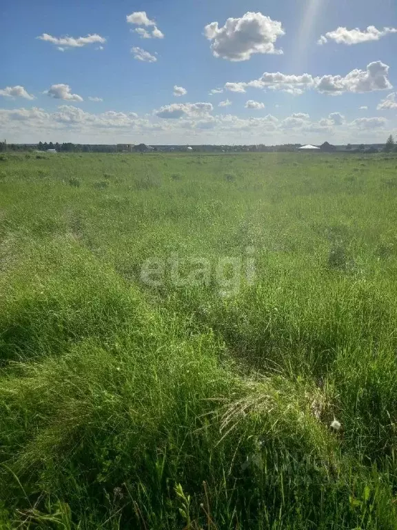 Деревня Тиганово Брянск. Тиганово Брянск.