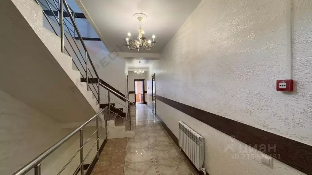 Помещение свободного назначения в Краснодарский край, Краснодар ул. ... - Фото 1