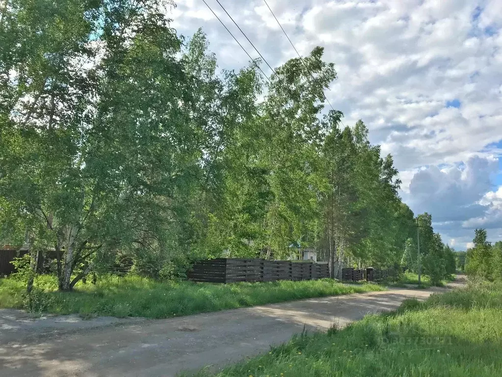 Участок в Новосибирская область, Новосибирский район, Барышевский ... - Фото 1