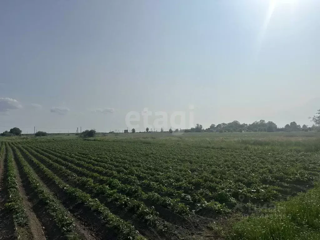 Участок в Калининградская область, Полесский муниципальный округ, пос. ... - Фото 2