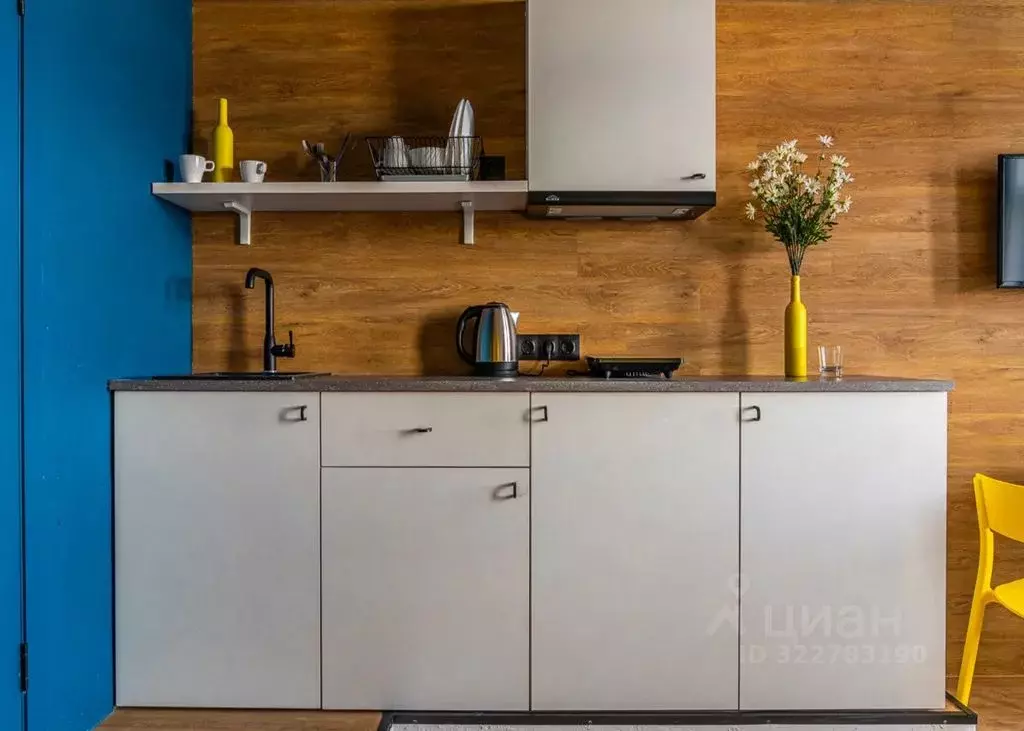 1-к кв. Псковская область, Псков ул. Металлистов, 25 (24.0 м) - Фото 2