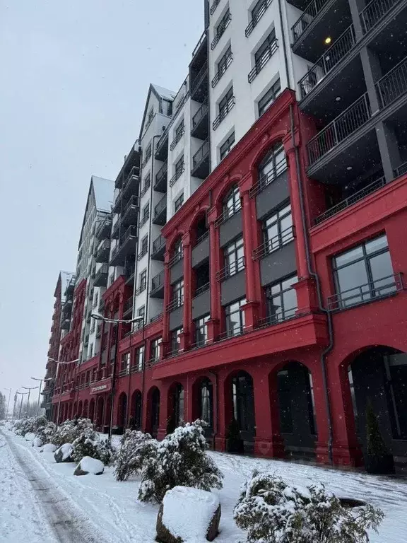 Торговая площадь в Калининградская область, Калининград ул. Молодой ... - Фото 2