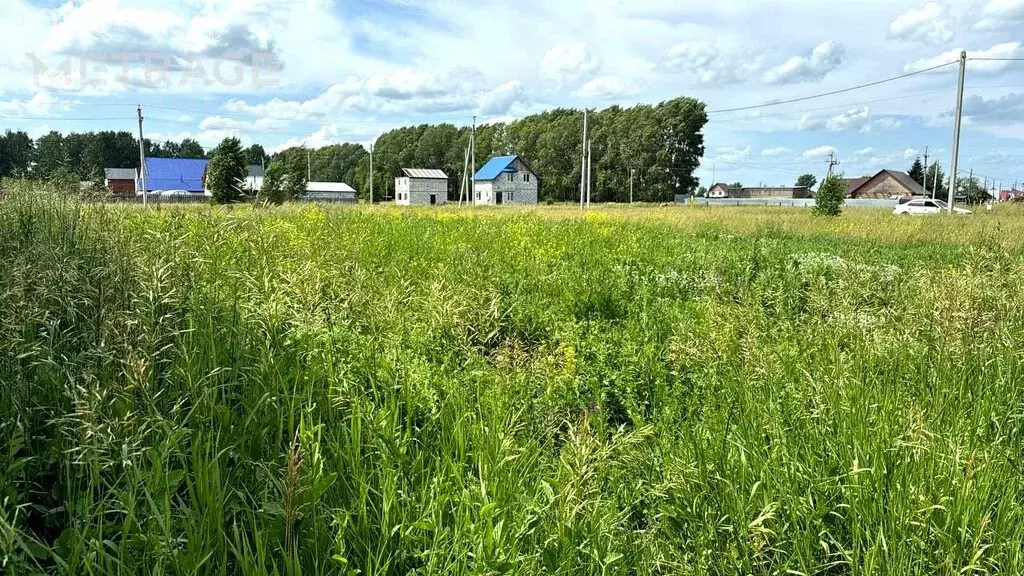 Участок в Толмачёвский сельсовет, деревня Алексеевка (9.5 м) - Фото 1