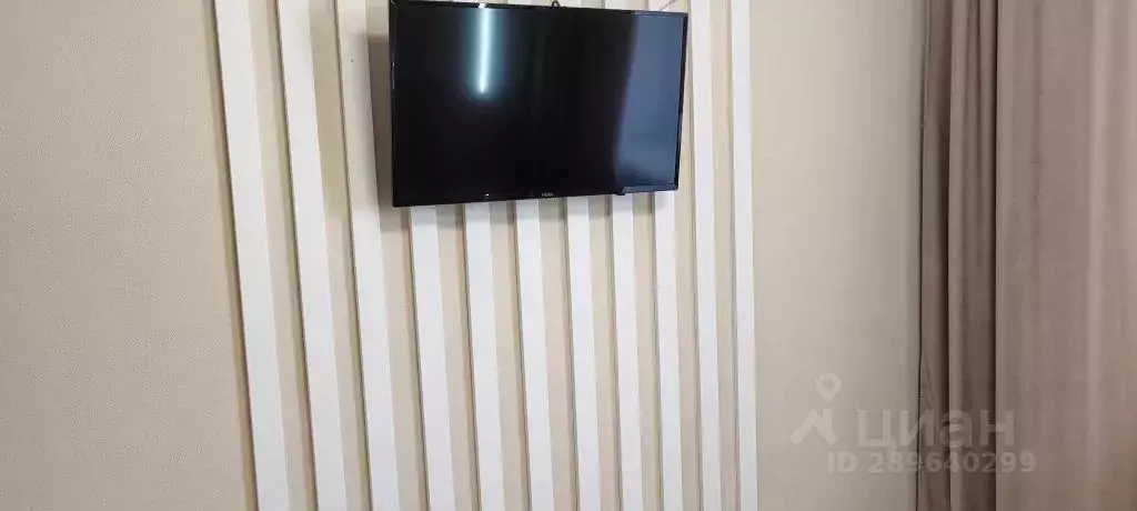 Студия Вологодская область, Вологда ул. Гагарина, 14 (25.0 м) - Фото 2