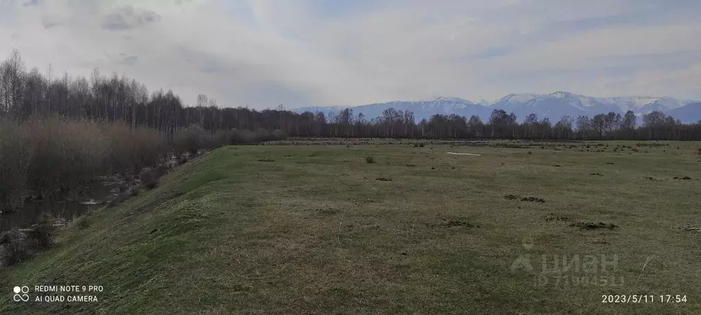 участок в алтай, усть-коксинский район, с. горбуново (20.0 сот.) - Фото 0