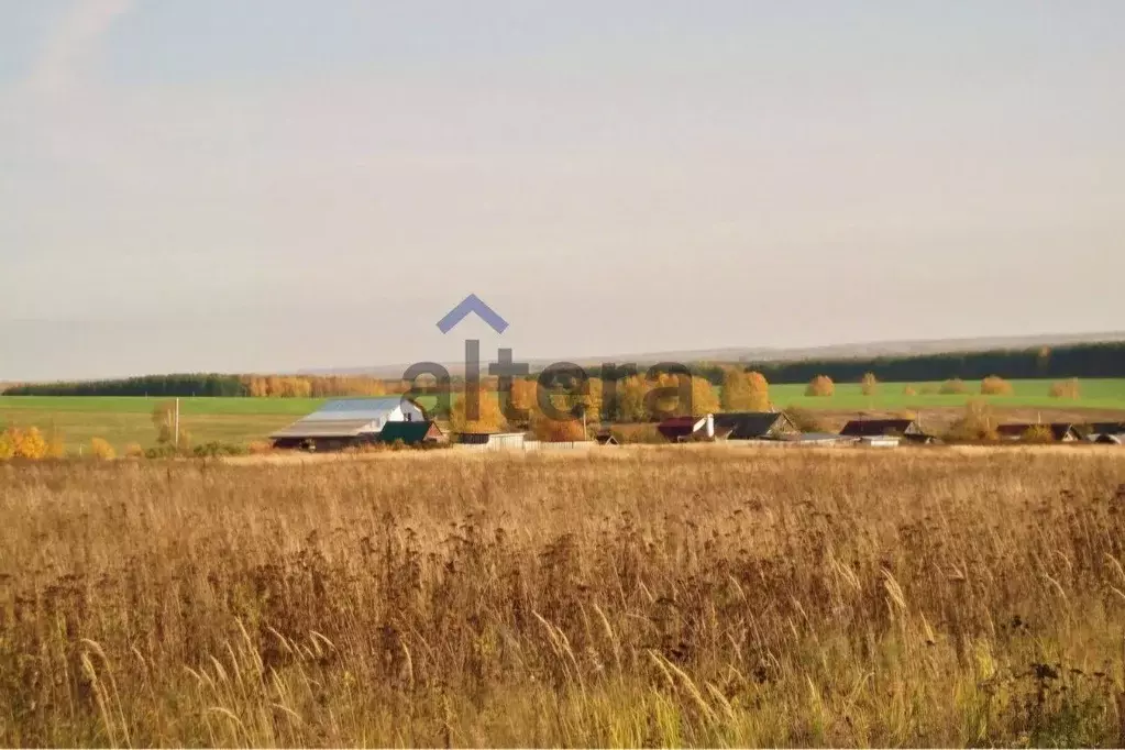 Участок в Татарстан, Высокогорский район, Бирюлинское с/пос, с. Бимери ... - Фото 0