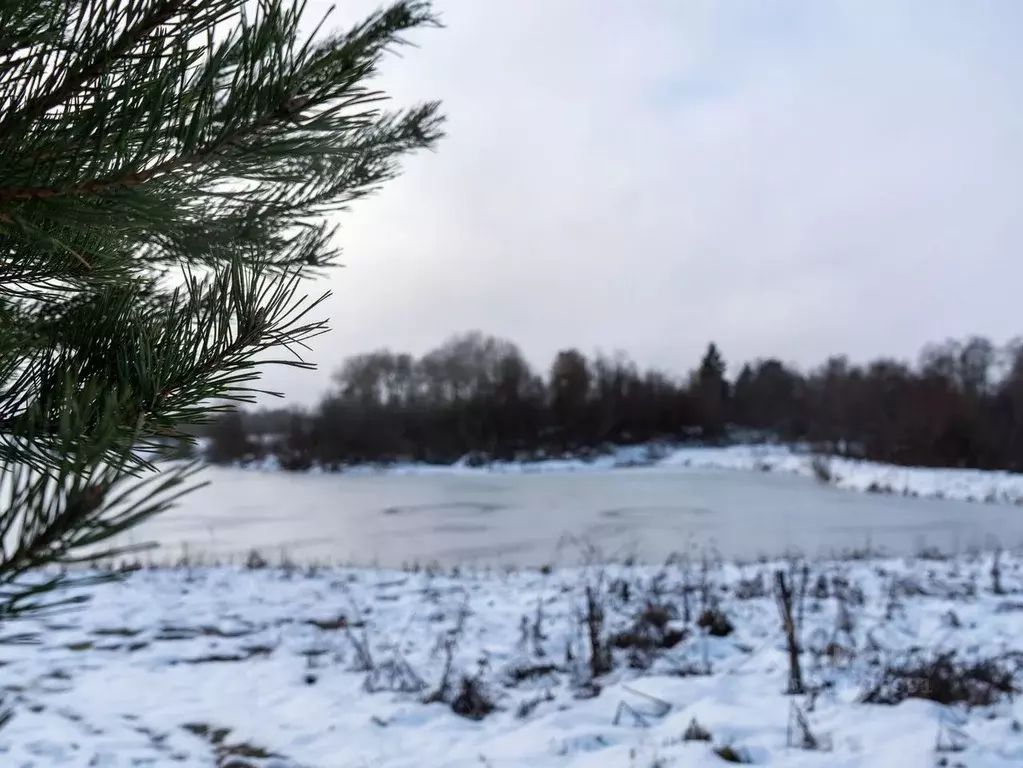 Участок в Московская область, Шаховская городской округ, с. Белая ... - Фото 1