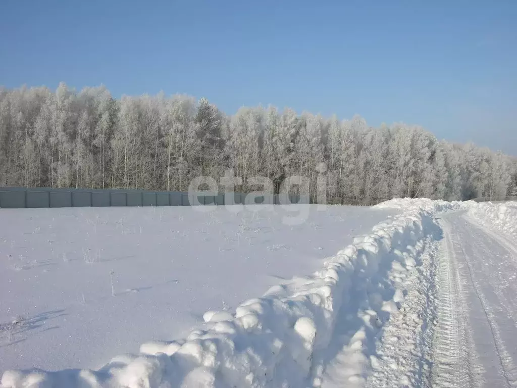 Участок в Костромская область, Костромской район, с. Сущево Советская ... - Фото 1