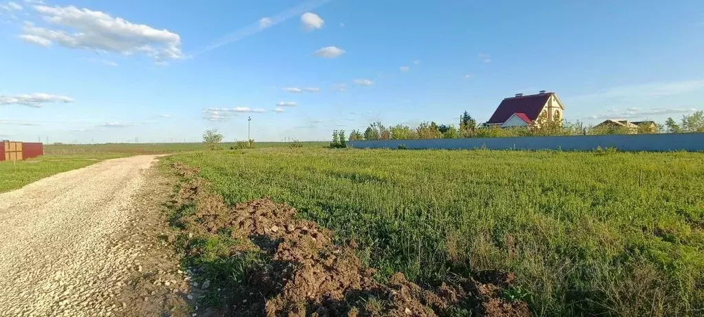 Участок в Саратовская область, Балаковский район, с. Подсосенки ... - Фото 1