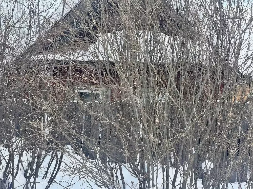 Участок в Свердловская область, Кушва ул. Розы Люксембург, 102 (10.0 ... - Фото 1