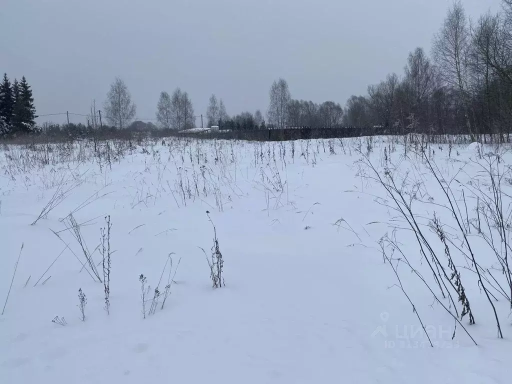 Участок в Московская область, Клин городской округ, д. Трехденево 39 ... - Фото 0