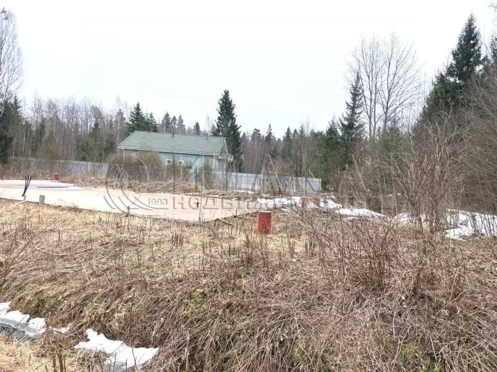 Участок в Ленинградская область, Выборг ул. Раппатила (12.0 сот.) - Фото 2