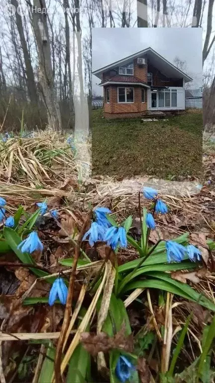 Дом в Рамонский район, Айдаровское сельское поселение, СНТ Роща, улица ... - Фото 1