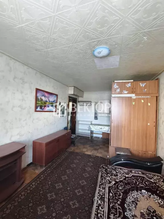 Комната Костромская область, Кострома Южная ул., 8 (18.0 м) - Фото 1