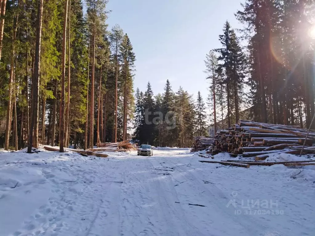 Участок в Свердловская область, Белоярский муниципальный округ, ... - Фото 0