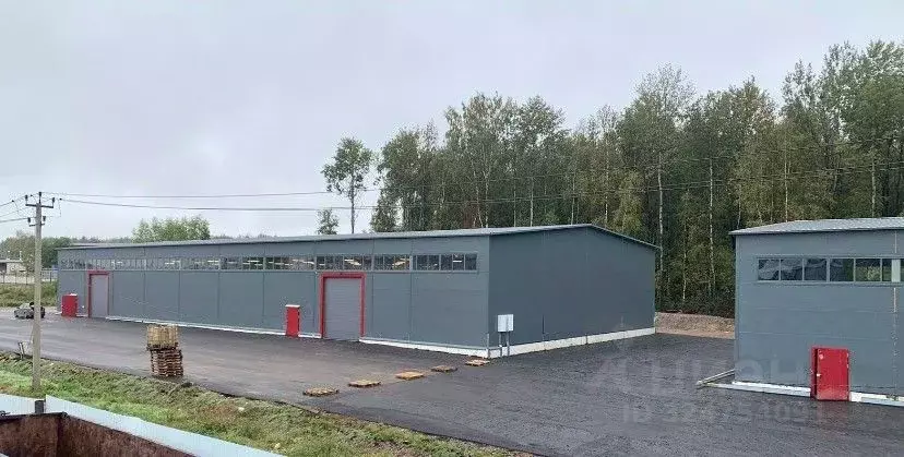 Склад в Ленинградская область, Ломоносовский район, Горбунковское ... - Фото 1