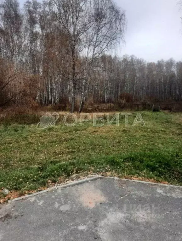 Участок в Тюменская область, Ялуторовский муниципальный округ, с. ... - Фото 2