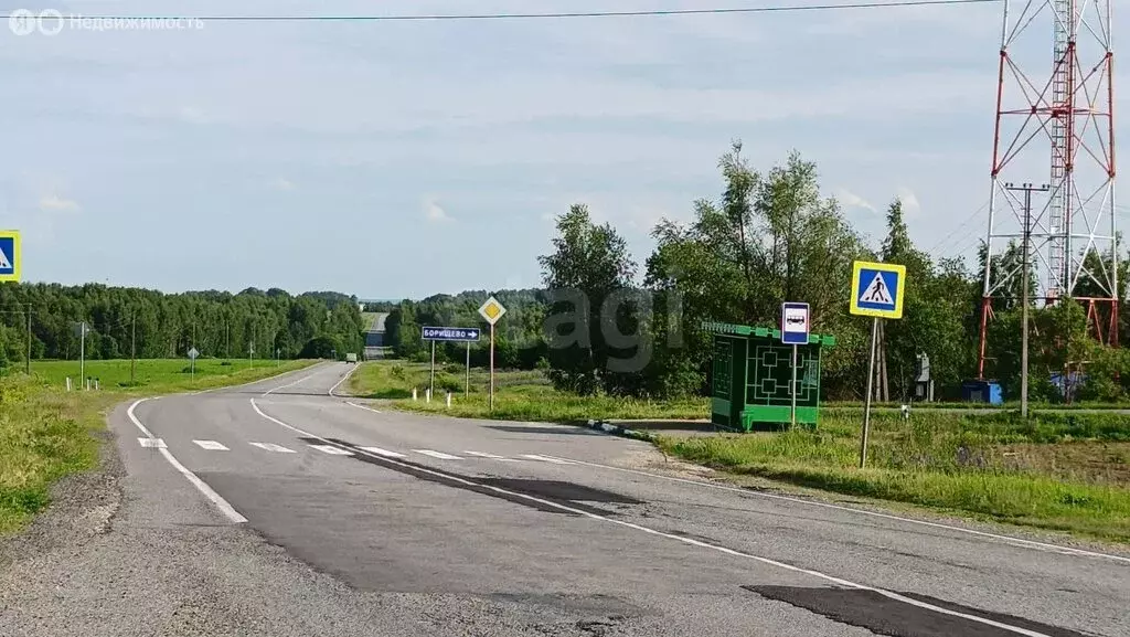 Участок в Перемышльский район, сельское поселение Борищево, село ... - Фото 0