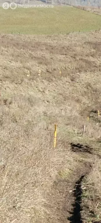 Участок в село Кызыл-Озек, улица Дорожников (11 м) - Фото 2