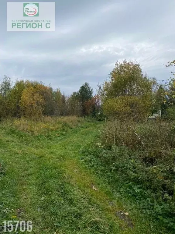 Участок в Архангельская область, Приморский муниципальный округ, д. ... - Фото 2