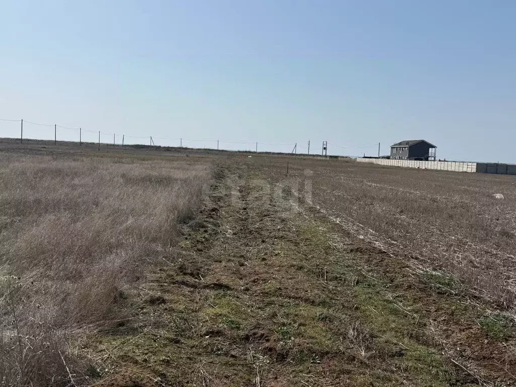 Участок в Крым, Сакский район, с. Молочное  (10.0 сот.) - Фото 1