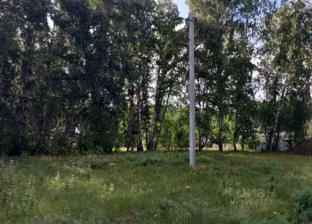 Участок в Новосибирская область, Новосибирский район, Криводановский ... - Фото 1