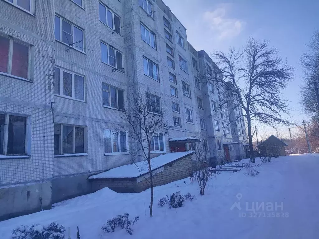 2-к кв. Ленинградская область, Волосовский район, Сабское с/пос, д. ... - Фото 1