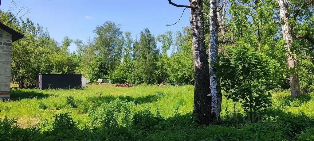 Участок в Московская область, Пушкино Заветы Ильича мкр, Советская ... - Фото 1