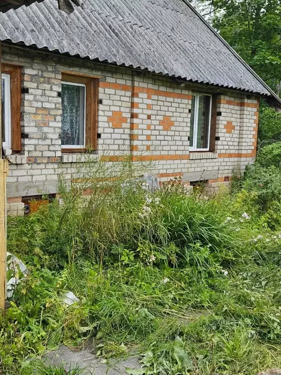 Дом в Псковская область, Плюсский муниципальный округ, д. Заполье ... - Фото 0