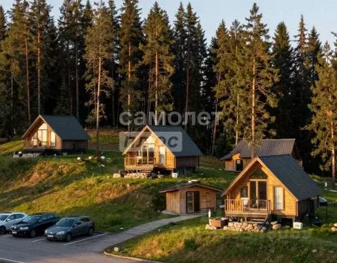 Участок в Челябинская область, Миасский городской округ, с. Сыростан ... - Фото 1