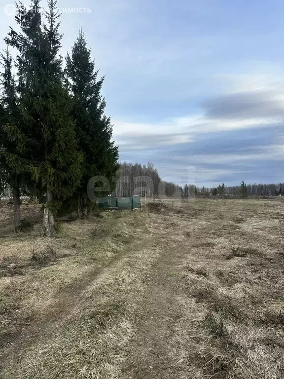 Участок в Владимирская область, Ковровский муниципальный округ, ... - Фото 1