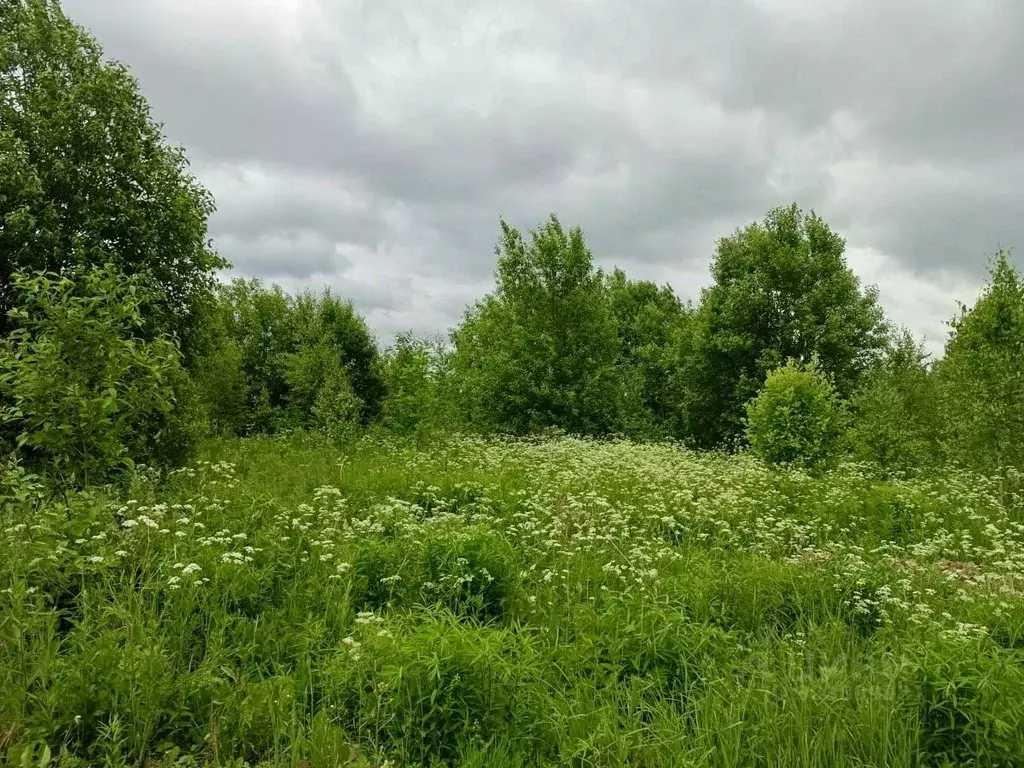 Участок в Московская область, Химки городской округ, Ксенон мкр, ... - Фото 0