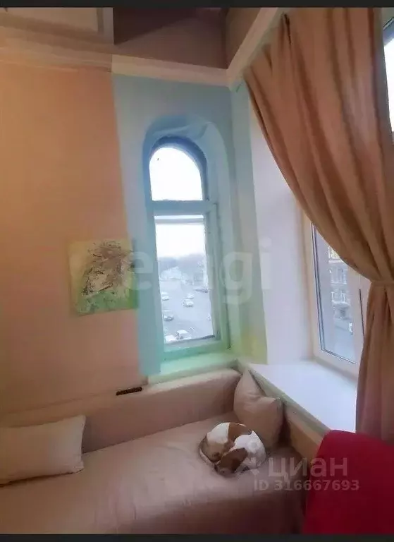 Комната Санкт-Петербург ул. Марата, 76 (24.4 м) - Фото 0