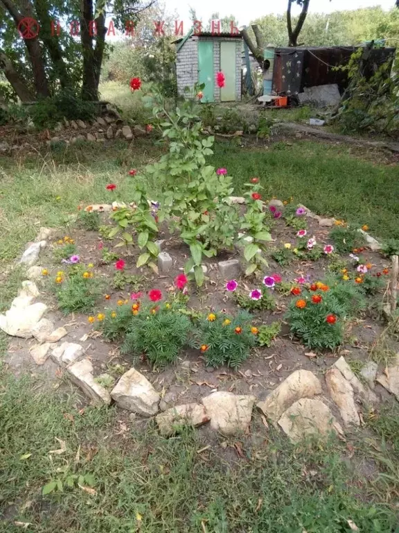 Дом в Самарская область, Красноармейский район, с. Колывань Озерный ... - Фото 2
